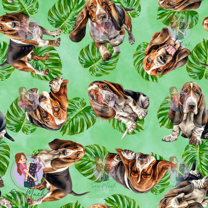 Basset Hound 2 | Pre-Order |