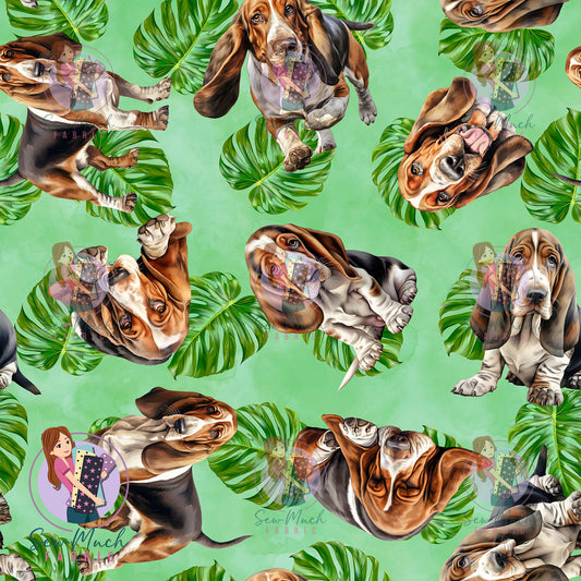 Basset Hound 2 | Pre-Order |