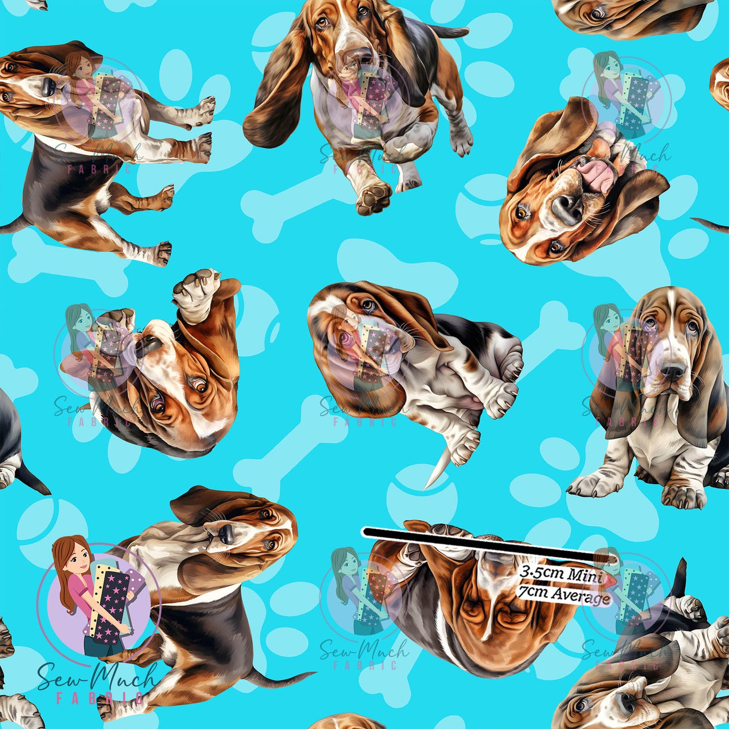 Basset Hound 1 | Pre-Order |
