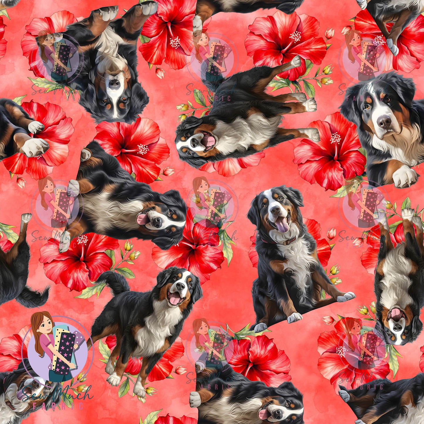 Bernese Mountain Dog 2 | Pre-Order |