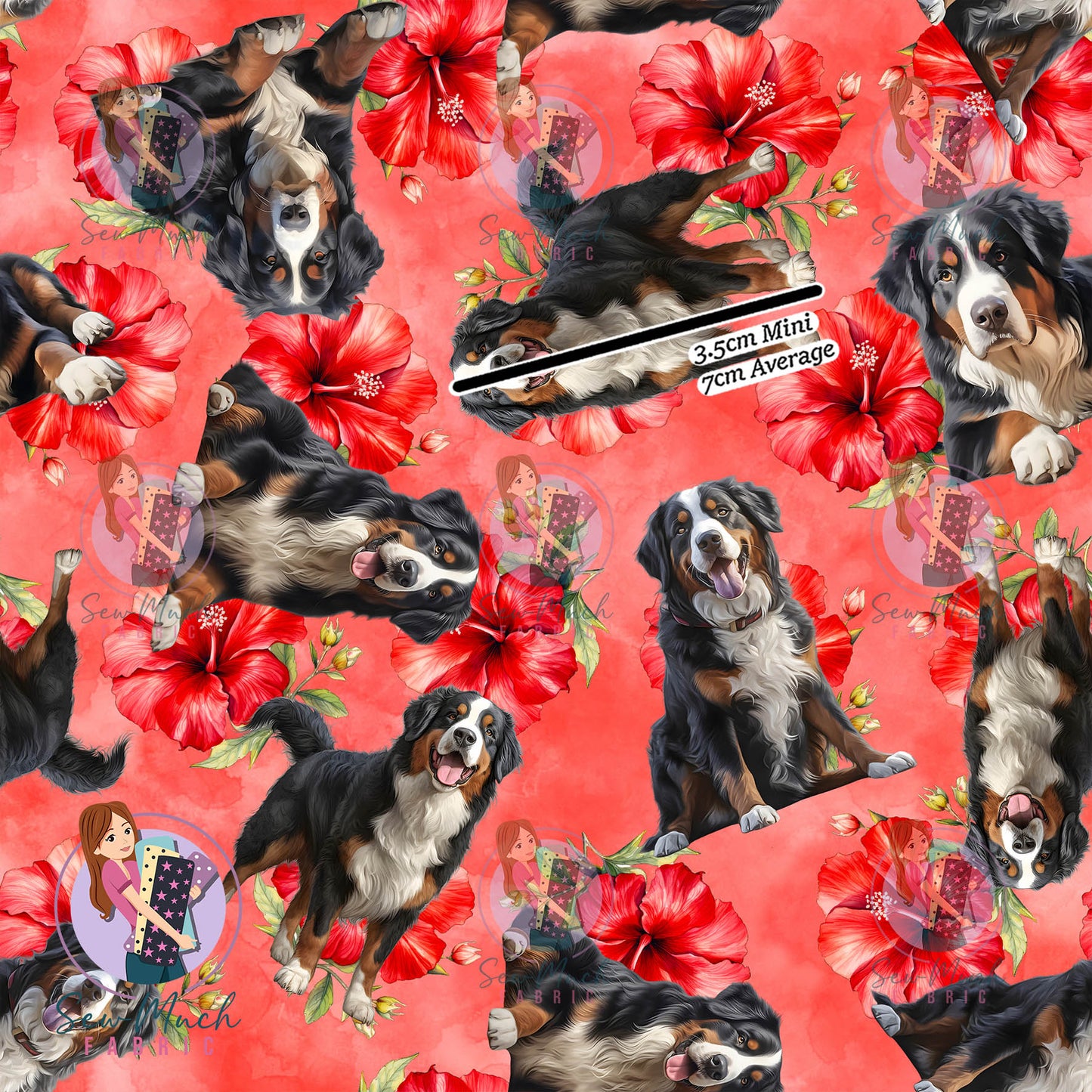 Bernese Mountain Dog 2 | Pre-Order |