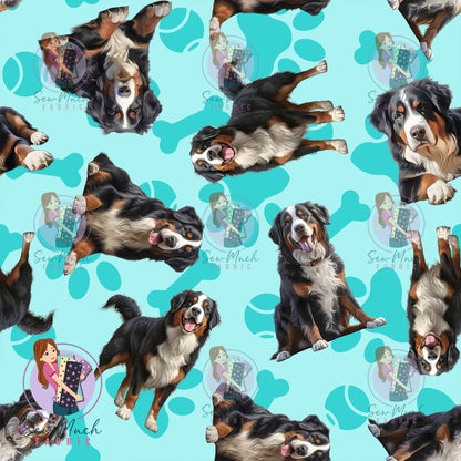 Bernese Mountain Dog 1 | Pre-Order |