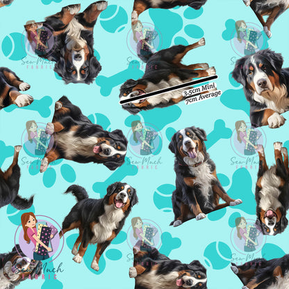 Bernese Mountain Dog 1 | Pre-Order |