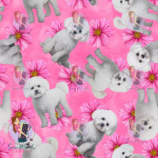 Bichon Frise 2 | Pre-Order |