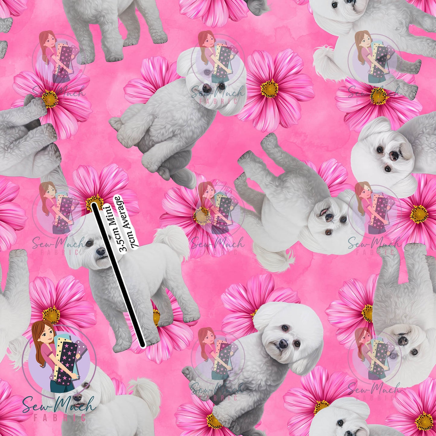 Bichon Frise 2 | Pre-Order |