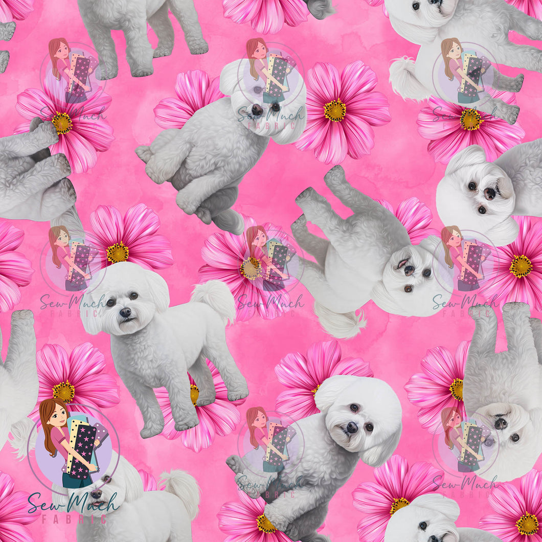 Bichon Frise 2 | Pre-Order |