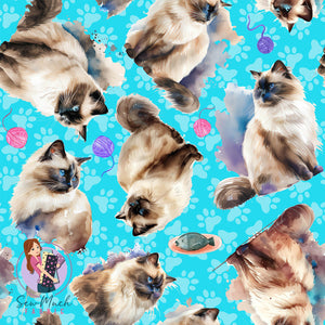 Birman Cat | Woven | Retail | Average Scale