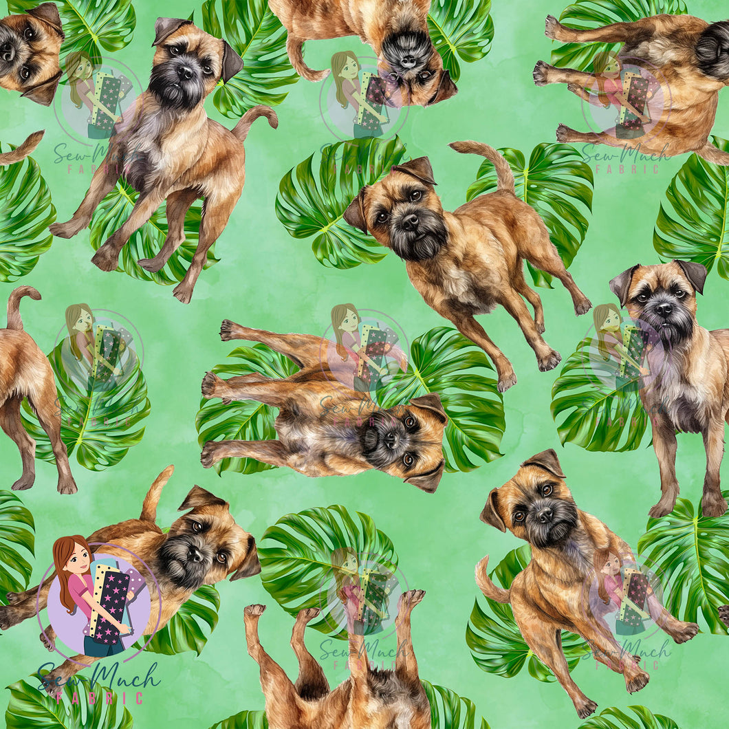 Border Terrier 2 | Pre-Order |