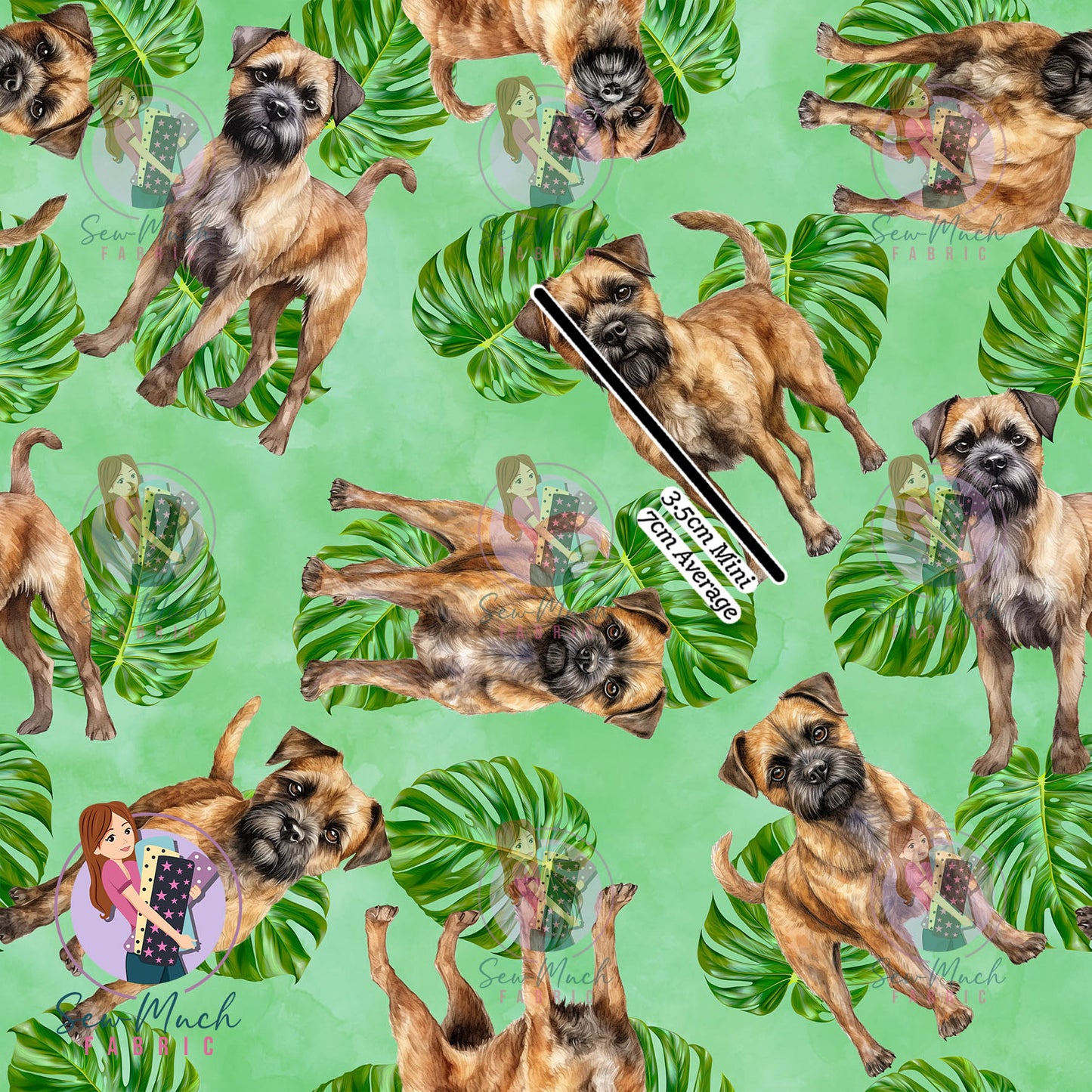 Border Terrier 2 | Pre-Order |