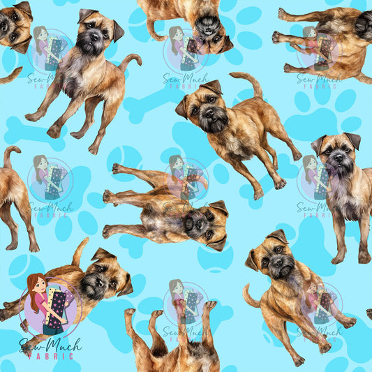 Border Terrier 1 | Pre-Order |