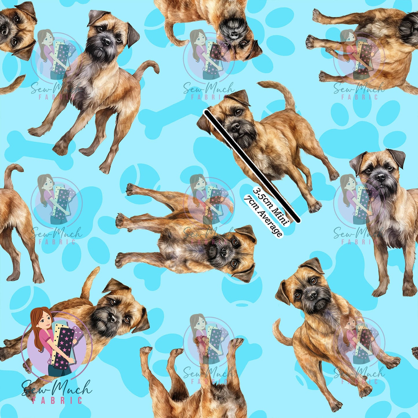 Border Terrier 1 | Pre-Order |