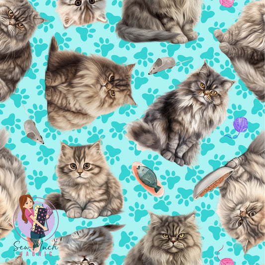 British Longhair Cat | Pre-Order |