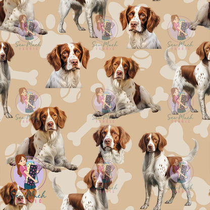 Brittany Spaniel | Pre-Order |