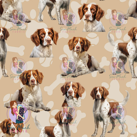 Brittany Spaniel | Pre-Order |
