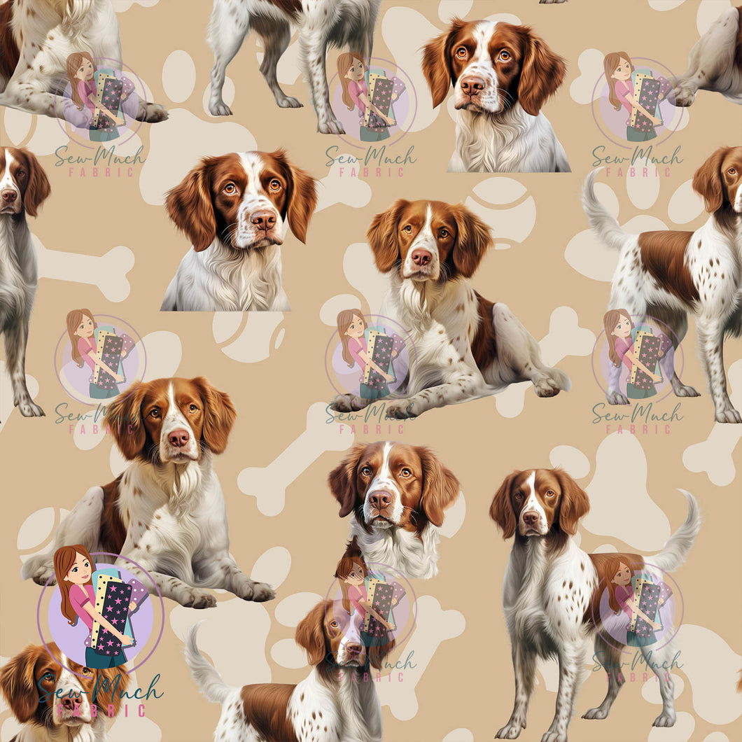 Brittany Spaniel | Pre-Order |