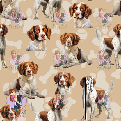 Brittany Spaniel | Pre-Order |