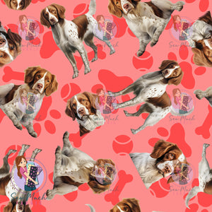 Brittany Spaniel 1 | Pre-Order |