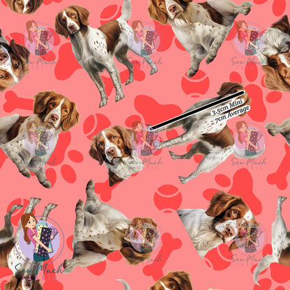 Brittany Spaniel 1 | Pre-Order |
