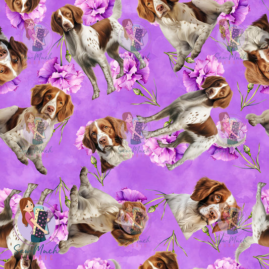 Brittany Spaniel 2 | Pre-Order |