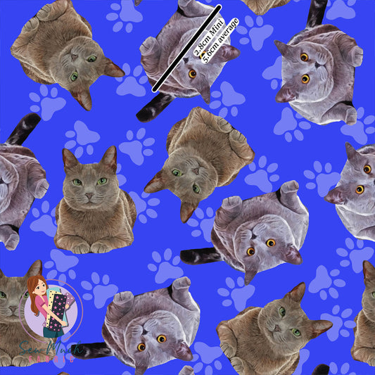 Blue Russian | Woven | Retail | Average Scale