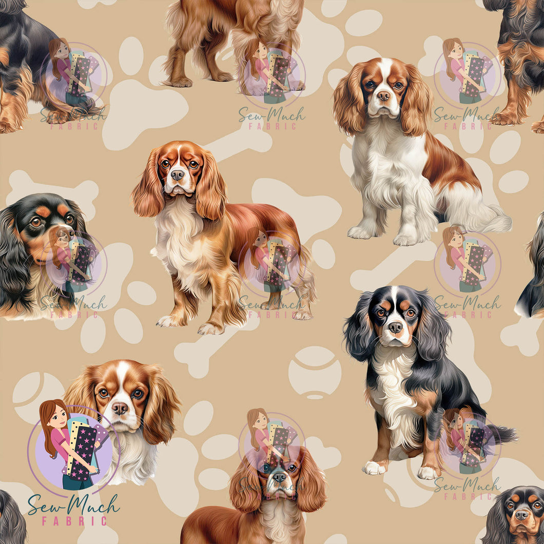 Cavalier King Charles Spaniel | Woven | Retail | Average Scale