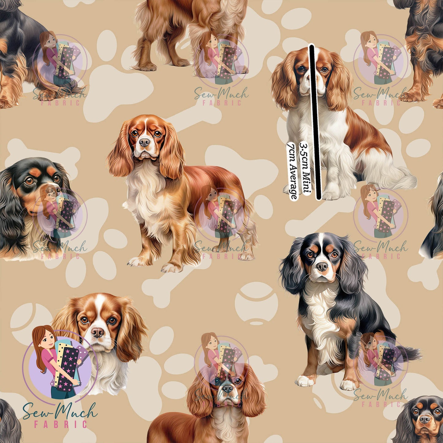 Cavalier King Charles Spaniel | Pre-Order |