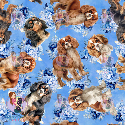 Cavalier King Charles Spaniel 2 | Pre-Order |