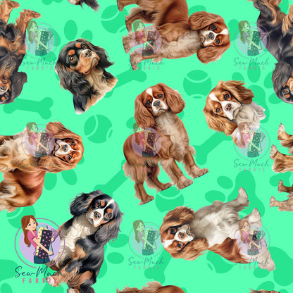 Cavalier King Charles Spaniel 1 | Pre-Order |