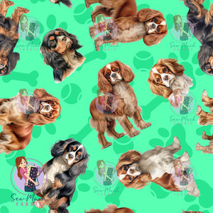 Cavalier King Charles Spaniel 1 | Pre-Order |
