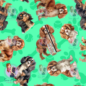 Cavalier King Charles Spaniel 1 | Pre-Order |