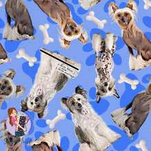 Load image into Gallery viewer, Chinese Crested Dog | Canvas | Retail | Average Scale
