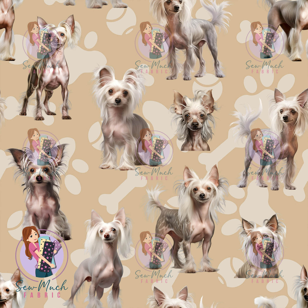 Chinese Crested | Woven | Retail | Average Scale