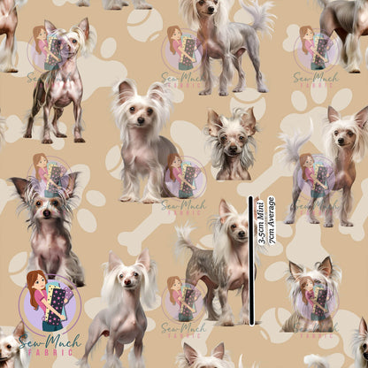 Chinese Crested | Woven | Retail | Average Scale