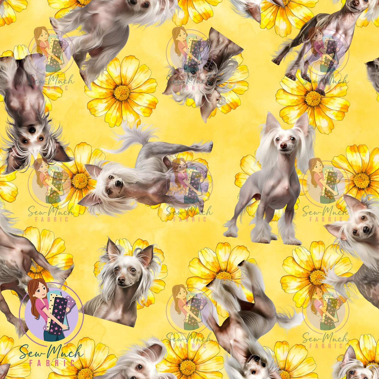 Chinese Crested 2 | Pre-Order |
