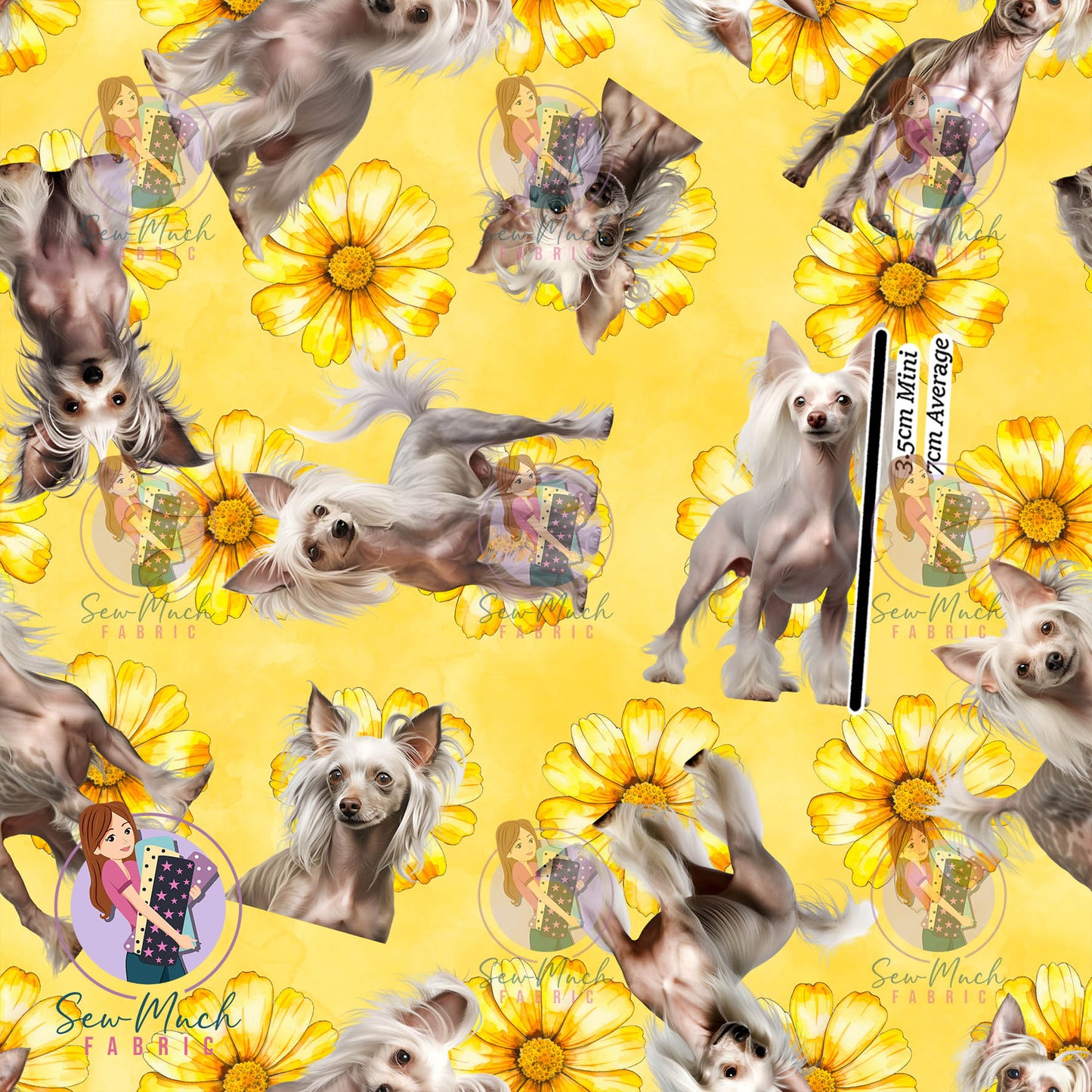 Chinese Crested 2 | Pre-Order |