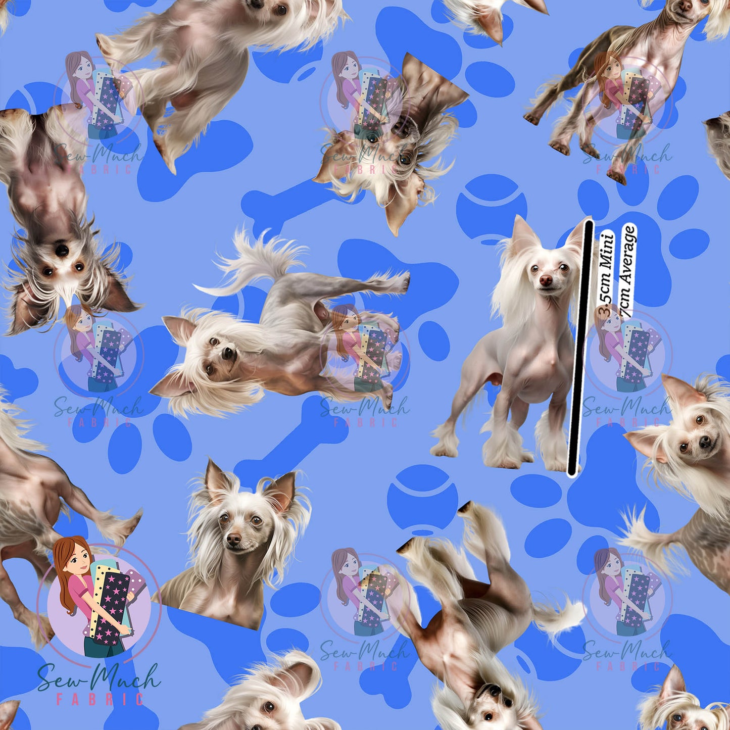 Chinese Crested 1 | Pre-Order |
