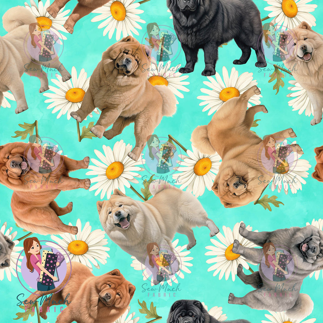 Chow Chow 2 | Pre-Order |