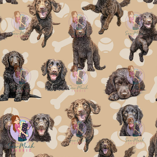 Curly Coated Retriever | Pre-Order |