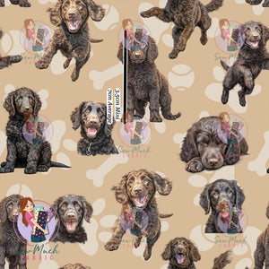 Curly Coated Retriever | Pre-Order |