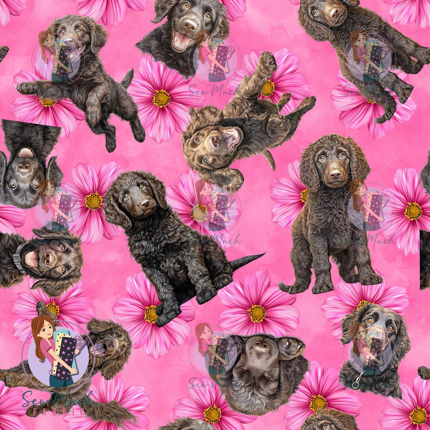 Curly Coated Retriever 2 | Pre-Order |
