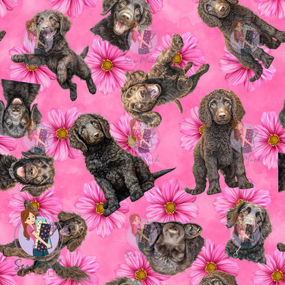 Curly Coated Retriever 2 | Pre-Order |