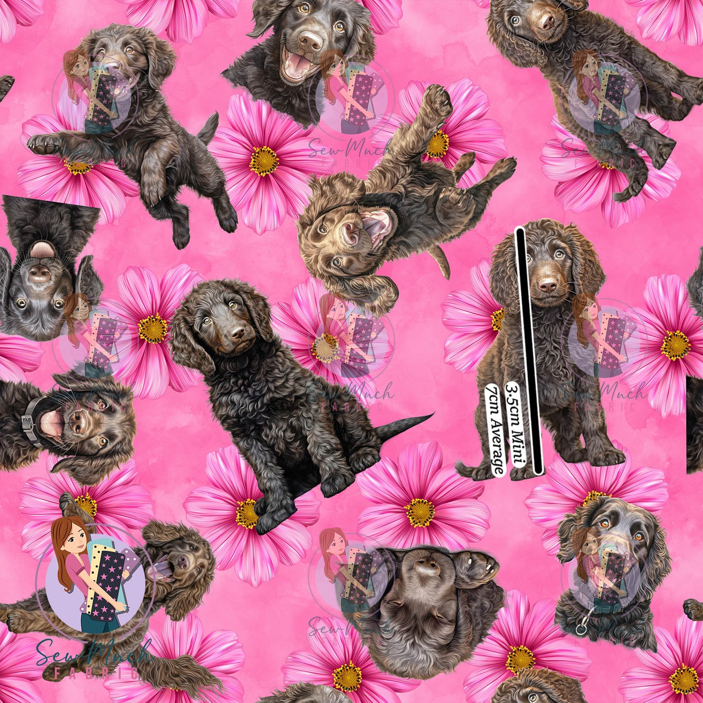 Curly Coated Retriever 2 | Pre-Order |