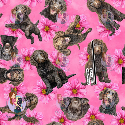 Curly Coated Retriever 2 | Pre-Order |