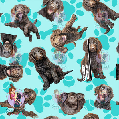 Curly Coated Retriever 1 | Pre-Order |