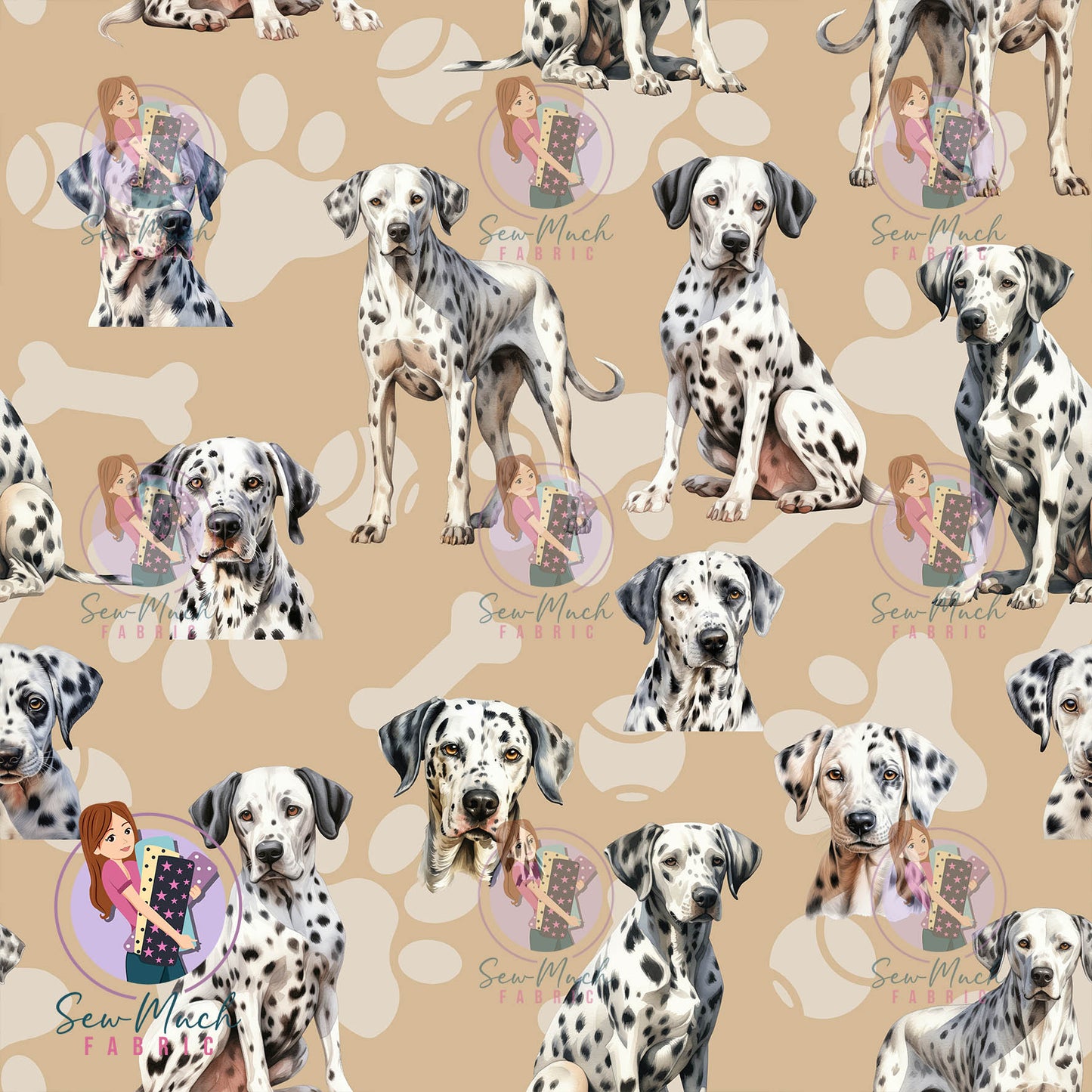 Dalmatian | Pre-Order |