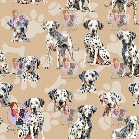 Dalmatian | Pre-Order |