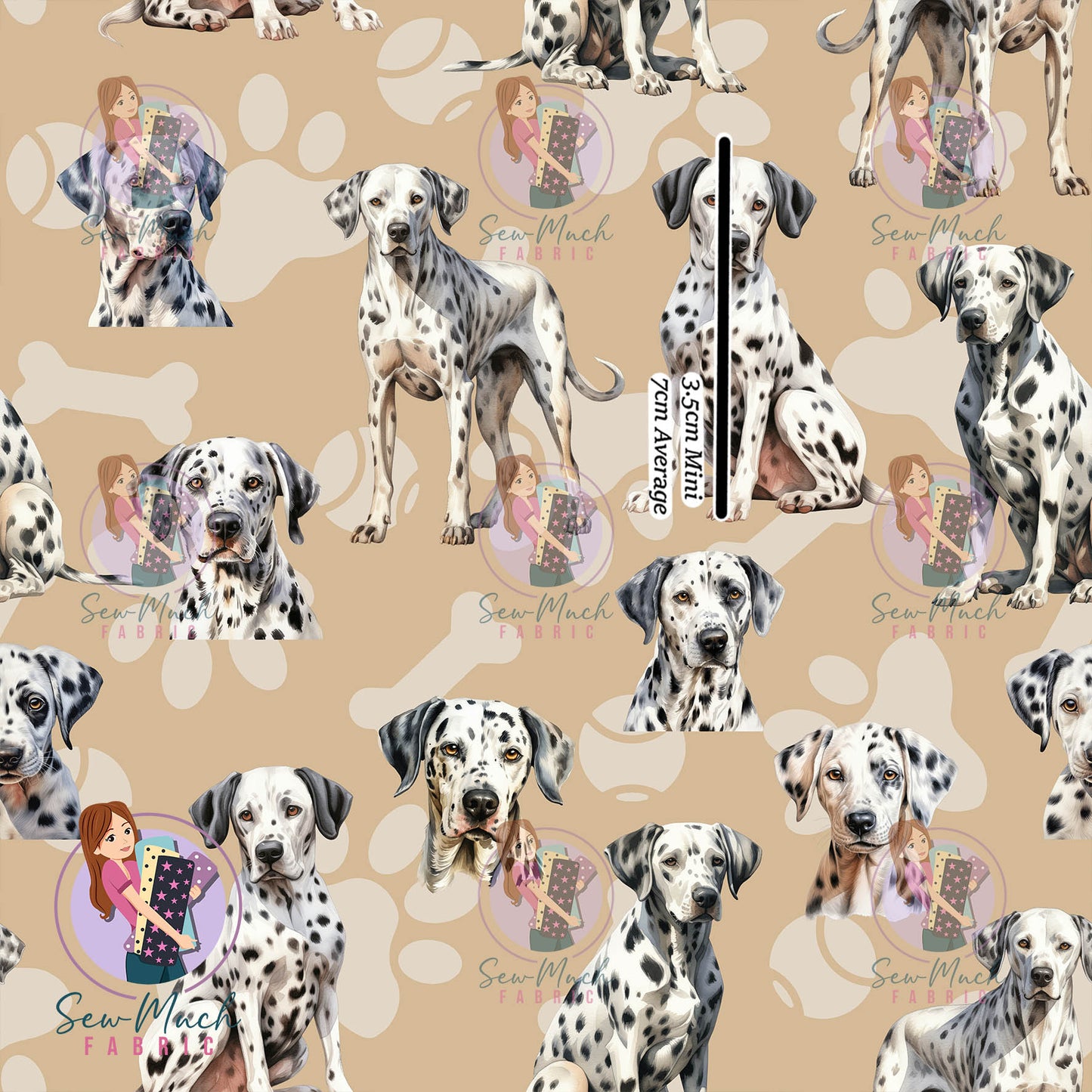 Dalmatian | Pre-Order |