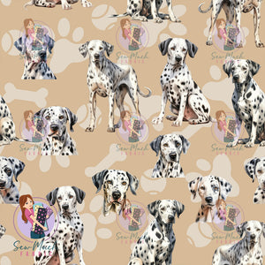 Dalmatian | Pre-Order |