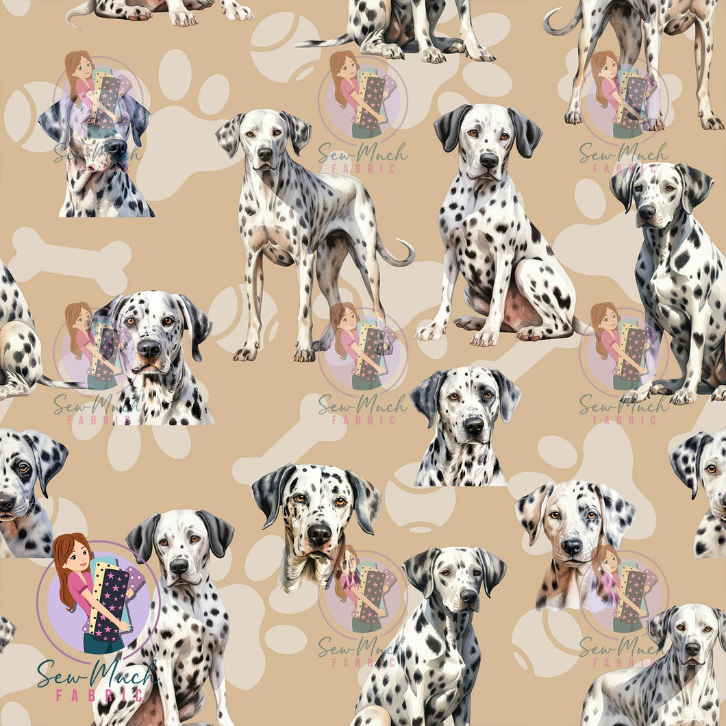 Dalmatian | Pre-Order |