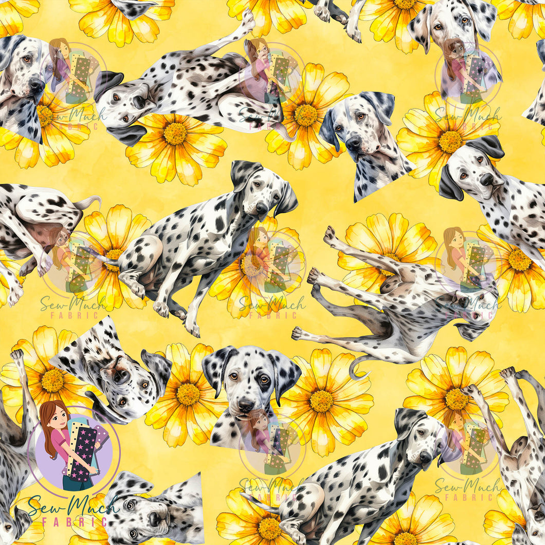 Dalmatian 2 | Pre-Order |